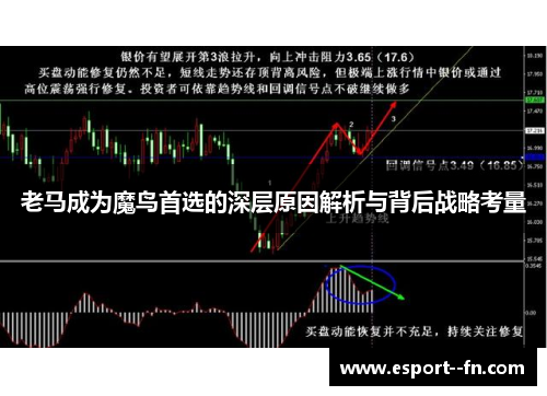 老马成为魔鸟首选的深层原因解析与背后战略考量 老马成为魔鸟首选的深层原因解析与背后战略考量