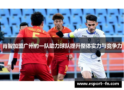 肖智加盟广州豹一队助力球队提升整体实力与竞争力 肖智加盟广州豹一队助力球队提升整体实力与竞争力