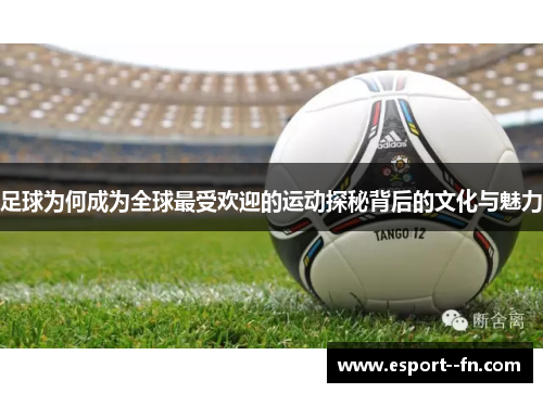 足球为何成为全球最受欢迎的运动探秘背后的文化与魅力