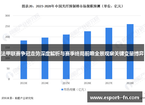 法甲联赛争冠走势深度解析与赛季终局前瞻全景观察关键变量博弈