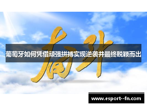 葡萄牙如何凭借顽强拼搏实现逆袭并最终脱颖而出